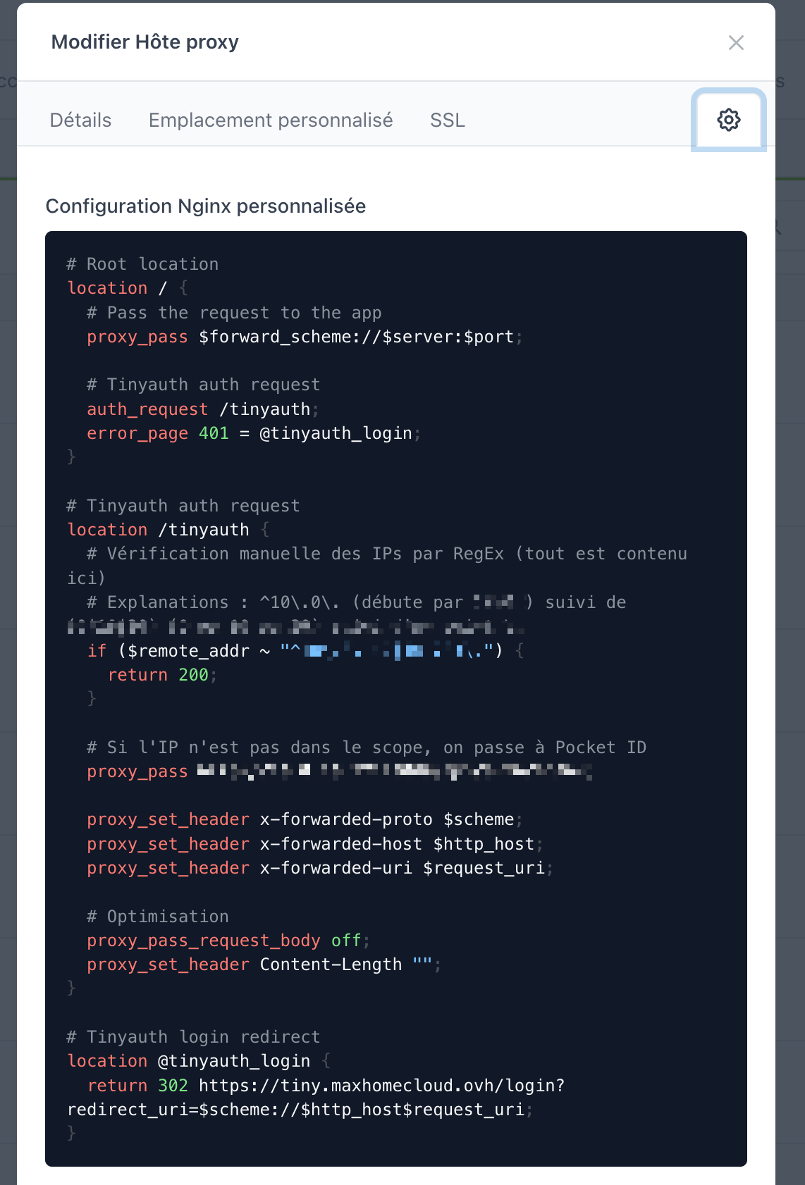 Configuration Nginx personnalisée dans NPM pour l'authentification Tinyauth et PocketID SSO