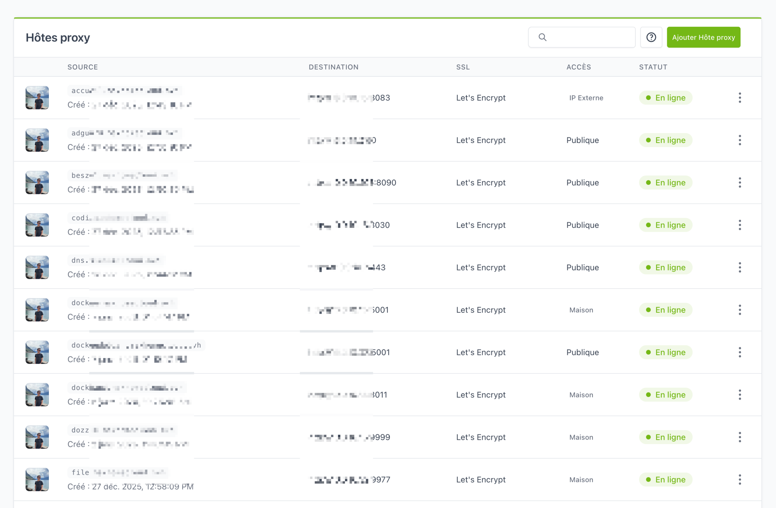 Liste des hôtes proxy dans NPM : sources, destinations, SSL Let's Encrypt, statut En ligne