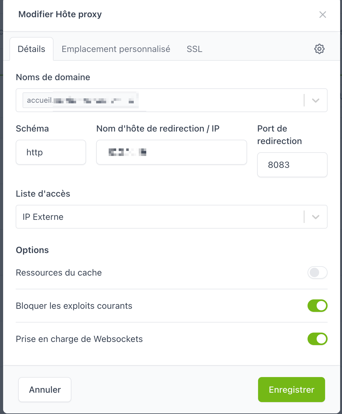 Modifier un hôte proxy dans NPM : nom de domaine, IP interne, port, options WebSockets et sécurité